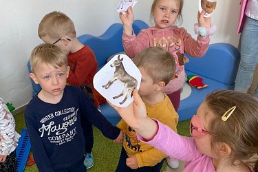 Obrázek č.20